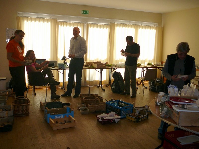 2014 10 Expo Champignons St Léger